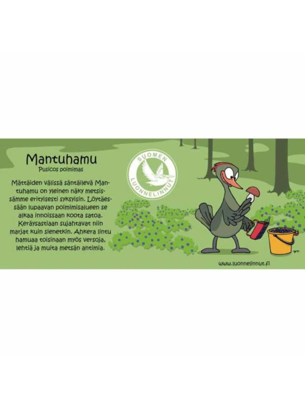 Muki Mantuhamu, Luonnelinnut